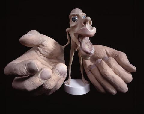 a 3-D homunculus